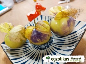 Plaza Latina Giant Green tomatillo - Különleges padlizsánok az Egzotikus Növények Stúdiója kínálatából